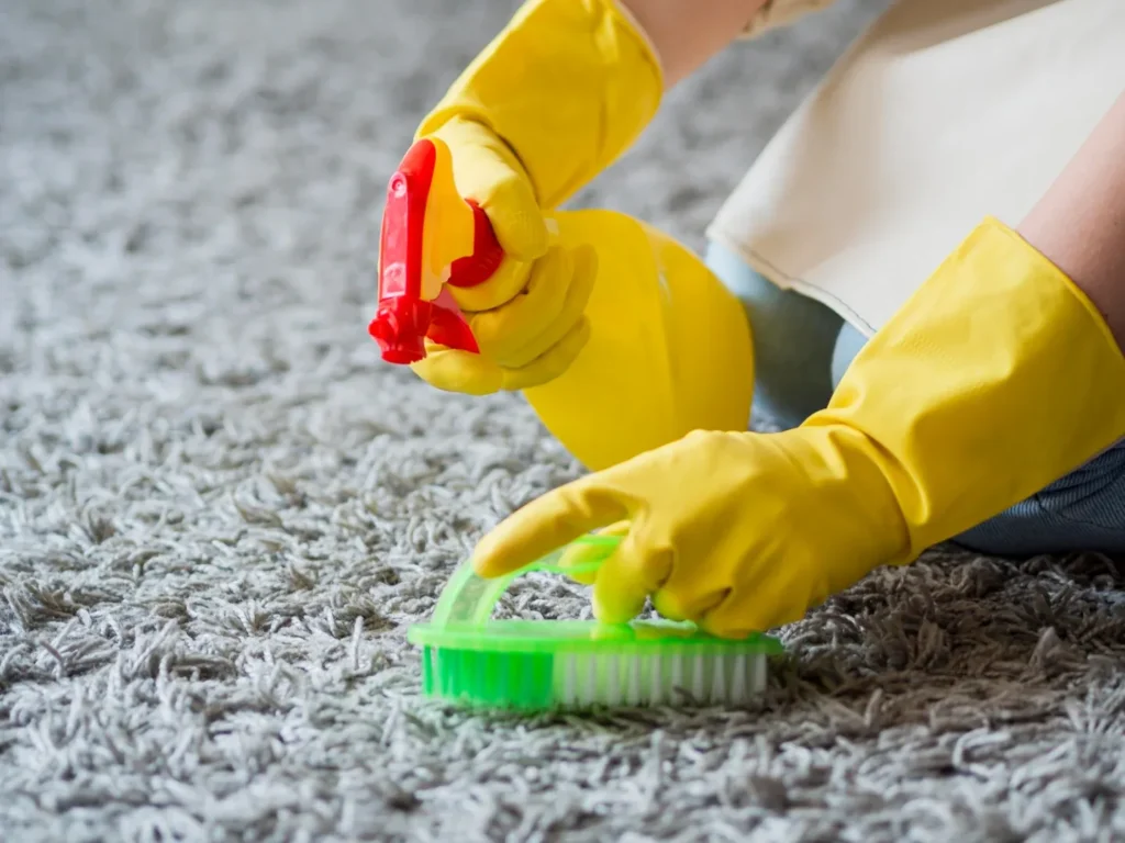 Carpet Cleaning Burlington | Expert Rug & Upholstery Cleaning