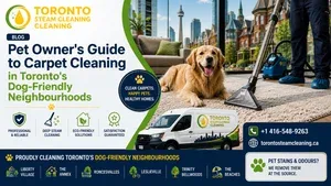 Pet Owner's Guide to Carpet Cleaning in Toronto's Dog-Friendly Neighbourhoods